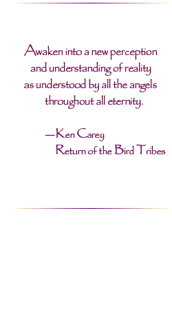 Ken Carey - Return of the Bird Tribes